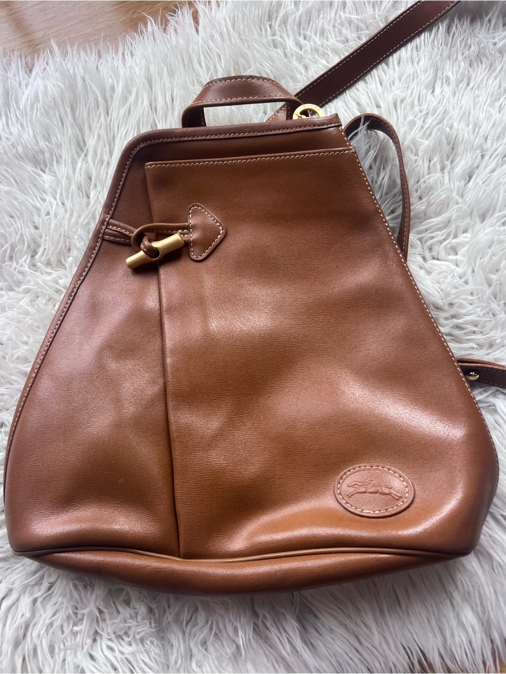 LongChamp Classic Brown Leather Women’s Backpack - Timeless Design